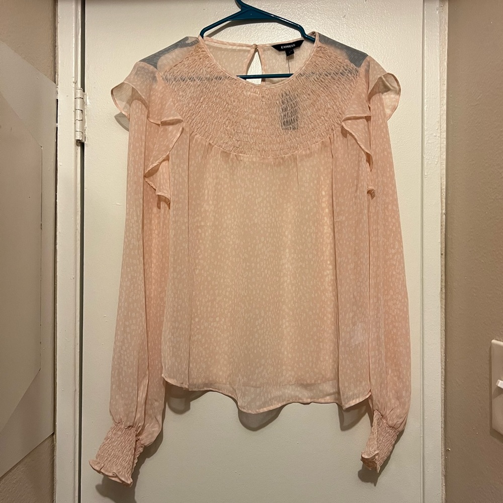 Express Large Sheer Long Sleeve